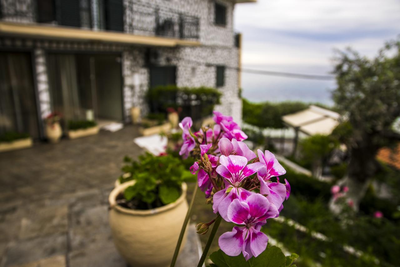 Hotel Villa Nisteri ลีเมนาส ภายนอก รูปภาพ